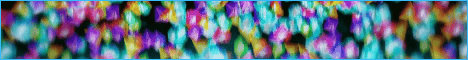 SpiritSMP banner