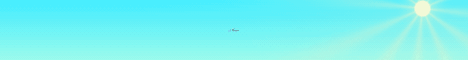 SkyCrafters banner