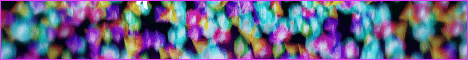 FKAS Survival banner