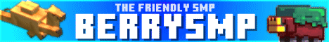 BerrySMP banner
