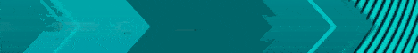 ValexSMP banner